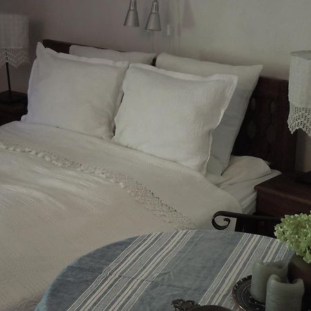 Darina Guest House Kopriwsztica Zewnętrze zdjęcie